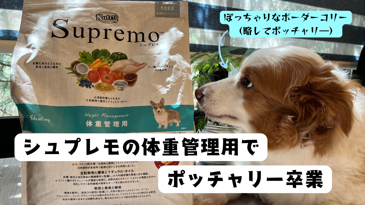 愛犬が『太った？』シュプレモの体重管理用を試した！ニュートロの 