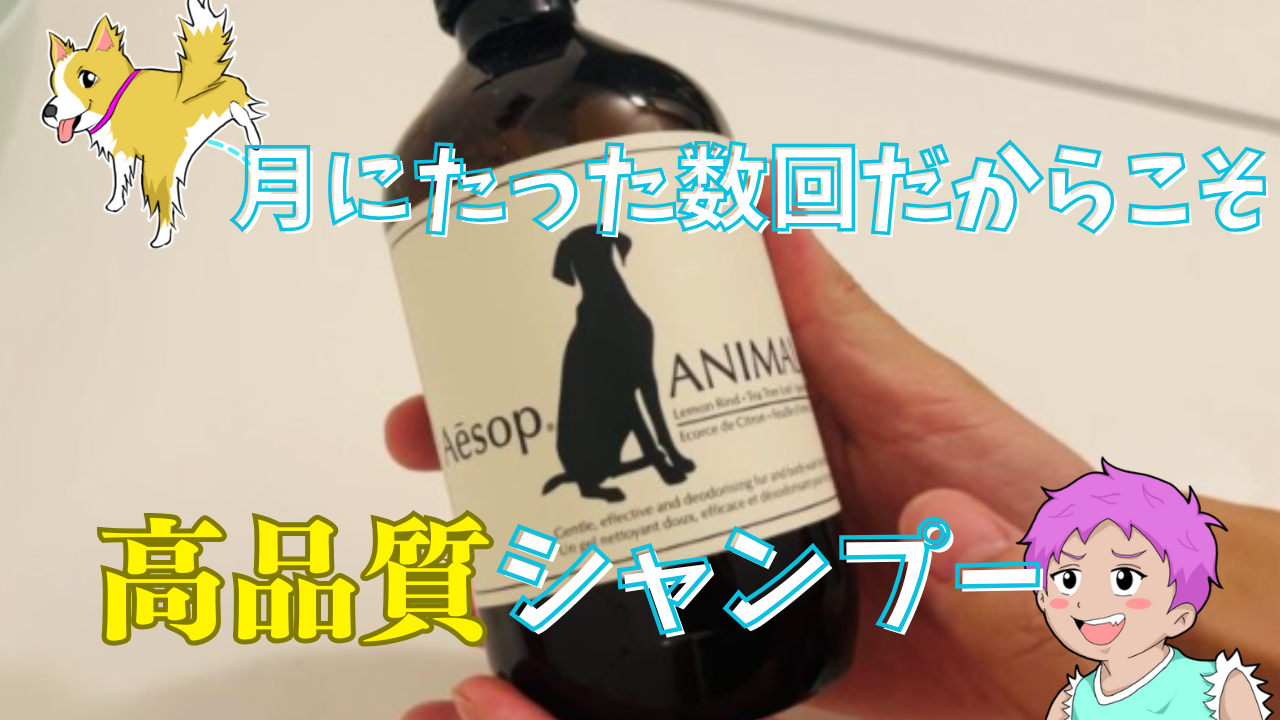 月にたった数回だからこそ.png