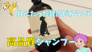 Aesopのシャンプー「アニマル」を試してみた!高品質で猫も使えてコスパ良し!