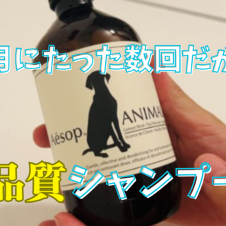 Aesop♪イソップ♪アニマル♪ペット♪シャンプー これは知らなかった！ イソップの「ペット用シャンプー」がキッチンで