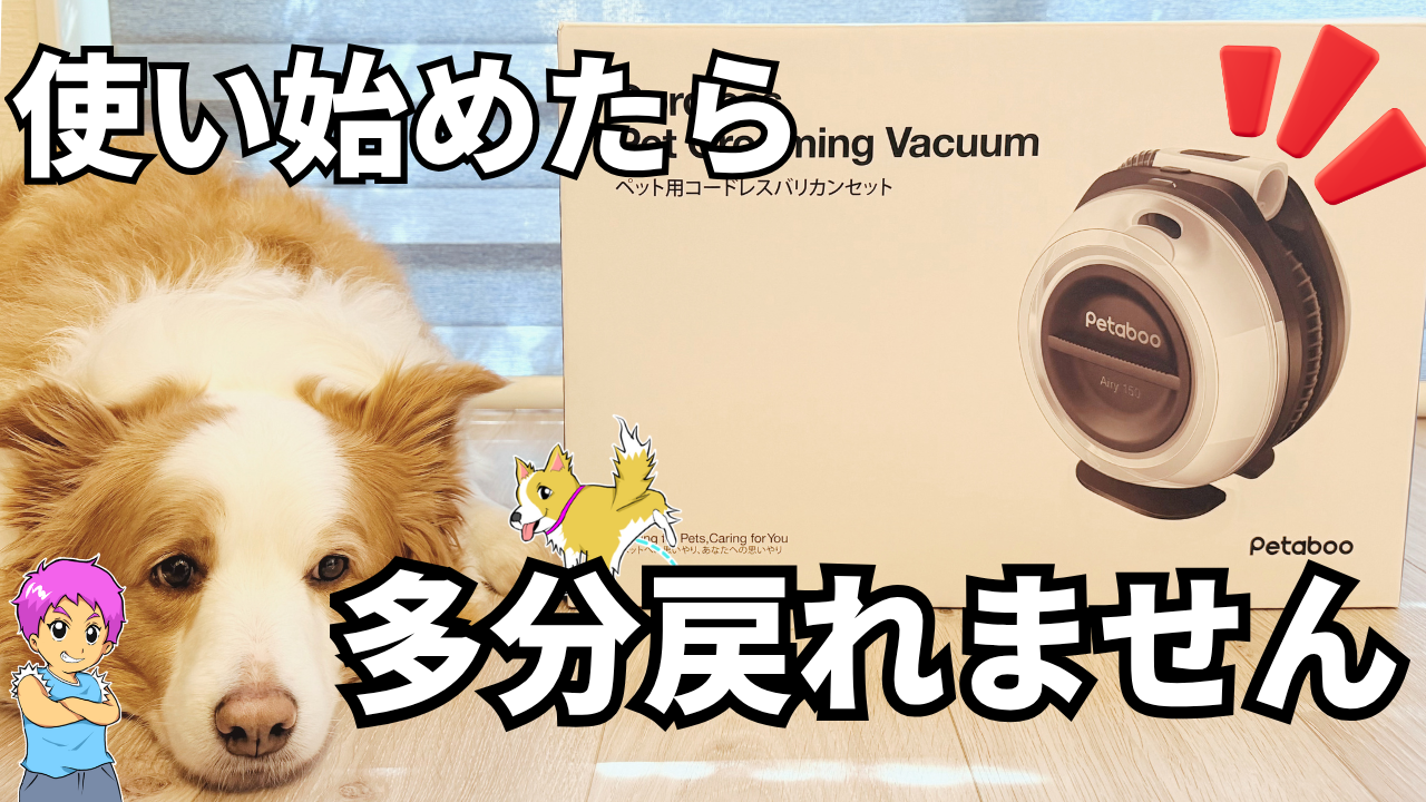 【自動吸引】Petabooのコードレスバリカンを試す｜長毛な犬種には必須でした！